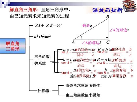 三角形|三角形专题：边角关系、面积公式